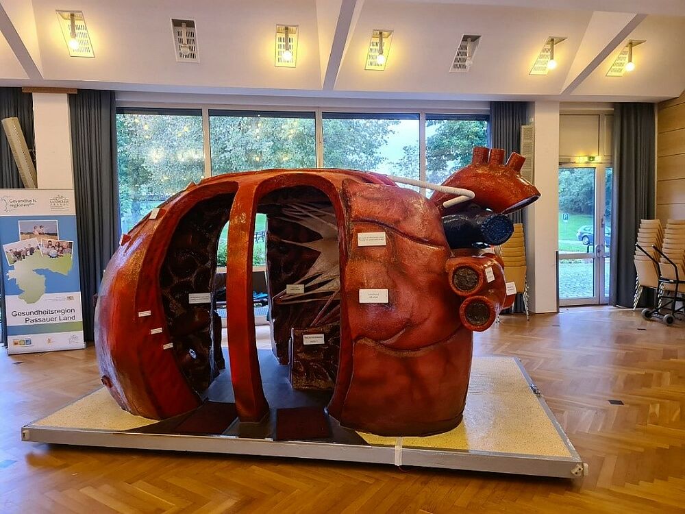 Schüler besuchen das begehbare Herz Grund und Mittelschule Eging Eging